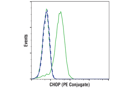 Flow Cytometry Image 1: CHOP (L63F7) Mouse mAb (PE Conjugate)