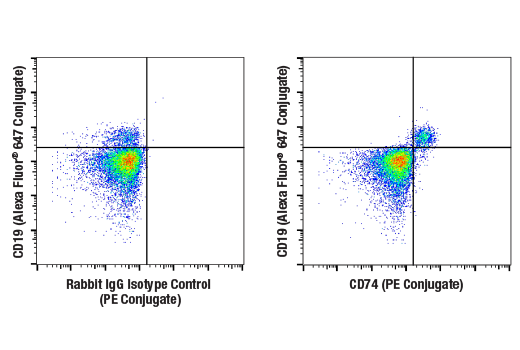 Flow Cytometry Image 1: CD74 (D5N3I) XP® Rabbit mAb (PE Conjugate)