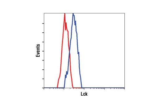 Flow Cytometry Image 1: Lck (73A5) Rabbit mAb (BSA and Azide Free)