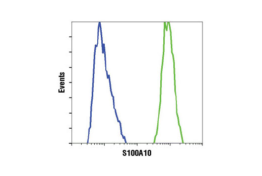Flow Cytometry Image 1: S100A10 (4E7E10) Mouse mAb