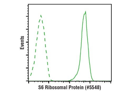 Flow Cytometry Image 1: S6 Ribosomal Protein (54D2) Mouse mAb (Alexa Fluor® 647 Conjugate)