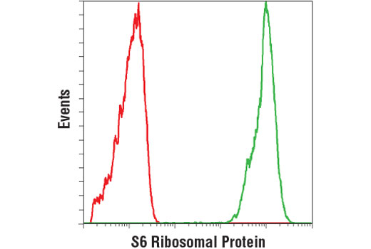 Flow Cytometry Image 1: S6 Ribosomal Protein (54D2) Mouse mAb (PE Conjugate)