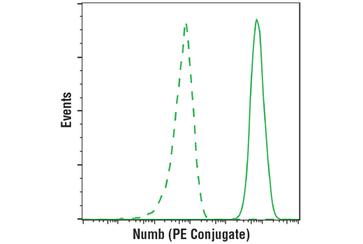 Flow Cytometry Image 1: Numb (C29G11) Rabbit mAb (PE Conjugate)