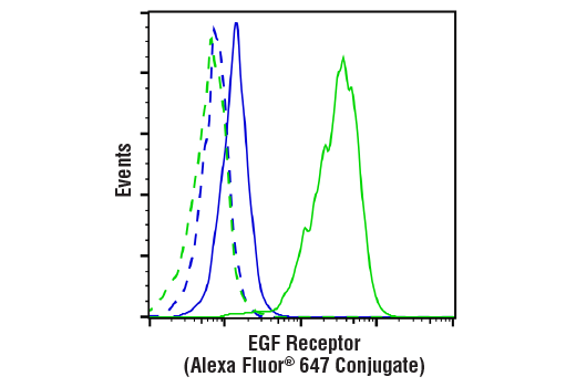 Flow Cytometry Image 1: EGF Receptor (D38B1) XP® Rabbit mAb (Alexa Fluor® 647 Conjugate)