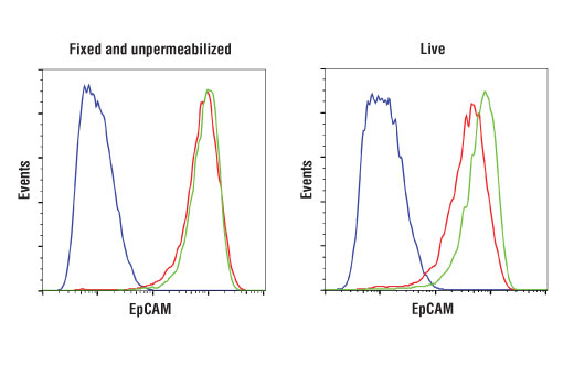 Flow Cytometry Image 2: EpCAM (D4K8R) XP® Rabbit mAb (BSA and Azide Free)