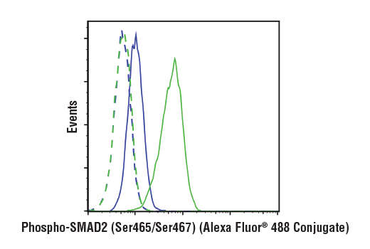 Flow Cytometry Image 1: Phospho-SMAD2 (Ser465/Ser467) (E8F3R) Rabbit mAb (Alexa Fluor® 488 Conjugate)