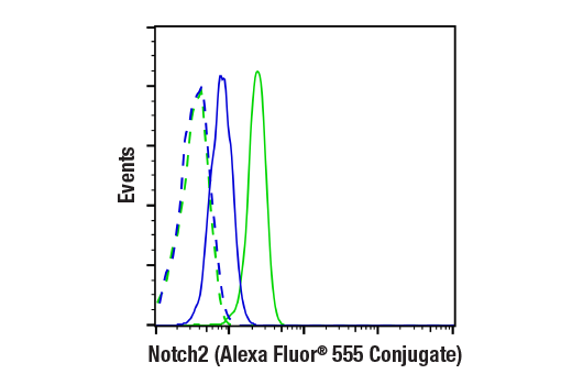 Flow Cytometry Image 1: Notch2 (D76A6) XP® Rabbit mAb (Alexa Fluor® 555 Conjugate)