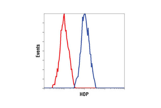 Flow Cytometry Image 1: HOP (D10E2) XP® Rabbit mAb