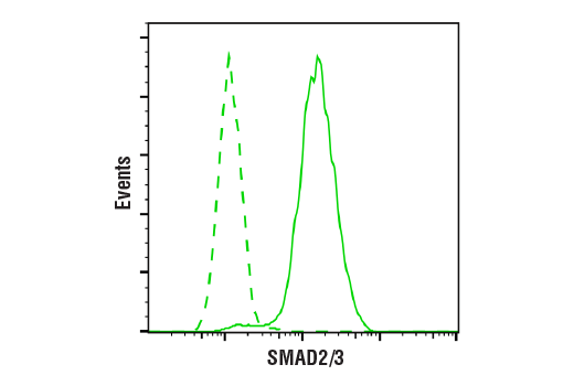 Flow Cytometry Image 1: SMAD2/3 Antibody