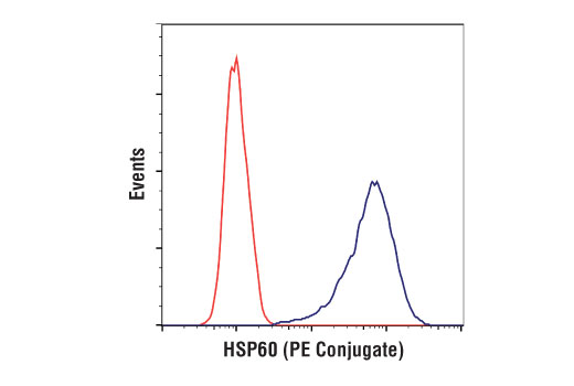 Flow Cytometry Image 1: HSP60 (D6F1) XP® Rabbit mAb (PE Conjugate)