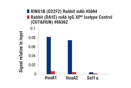 CUT and RUN Image 3: RING1B (D22F2) XP® Rabbit mAb