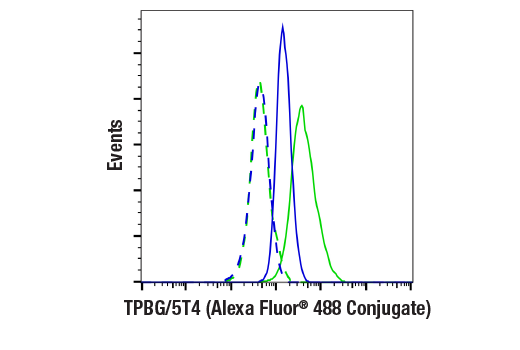 Flow Cytometry Image 1: TPBG/5T4 (E4T8Q) Rabbit mAb (Alexa Fluor® 488 Conjugate)