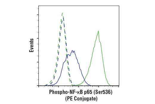 Flow Cytometry Image 1: Phospho-NF-κB p65 (Ser536) (93H1) Rabbit mAb (PE Conjugate)
