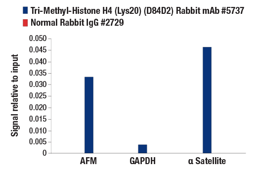 Chromatin Immunoprecipitation Image 3: Tri-Methyl-Histone H4 (Lys20) (D84D2) Rabbit mAb
