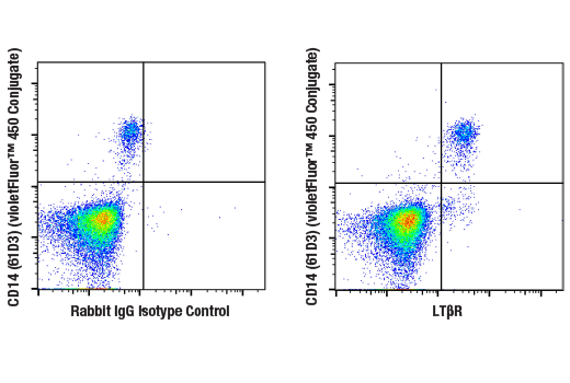 Flow Cytometry Image 2: LTβR (E5I6X) Rabbit mAb