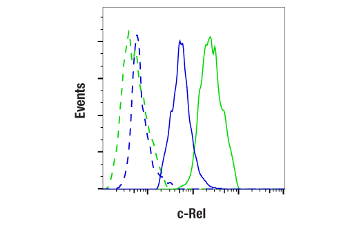 Flow Cytometry Image 1: c-Rel (E8Z5Y) XP® Rabbit mAb (BSA and Azide Free)