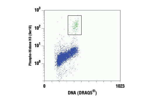 Flow Cytometry Image 1: Phospho-Histone H3 (Ser10) (D2C8) XP® Rabbit mAb (PE Conjugate)