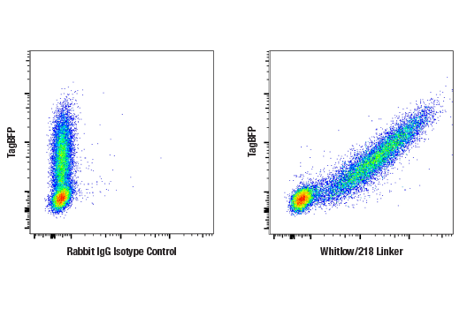 Flow Cytometry Image 2: Whitlow/218 Linker (E3U7Q) Rabbit mAb