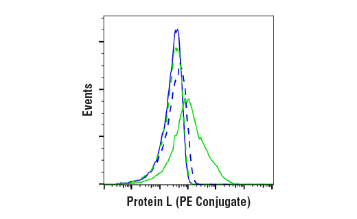Flow Cytometry Image 2: Protein L (PE Conjugate)