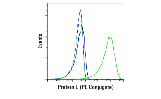 Flow Cytometry Image 1: Protein L (PE Conjugate)
