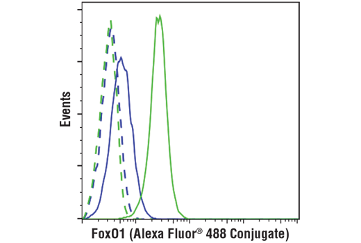 Flow Cytometry Image 1: FoxO1 (C29H4) Rabbit mAb (Alexa Fluor® 488 Conjugate)