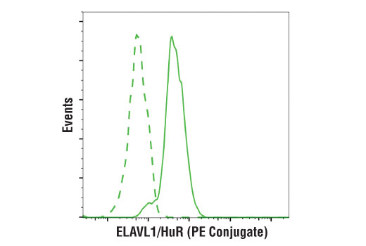 Flow Cytometry Image 1: ELAVL1/HuR (D9W7E) Rabbit mAb (PE Conjugate)