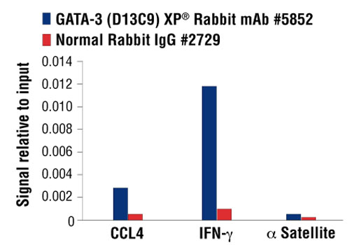 Chromatin Immunoprecipitation Image 1: GATA-3 (D13C9) XP® Rabbit mAb