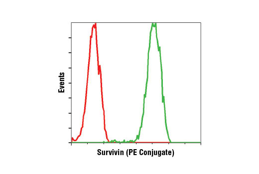 Flow Cytometry Image 1: Survivin (71G4B7) Rabbit mAb (PE Conjugate)