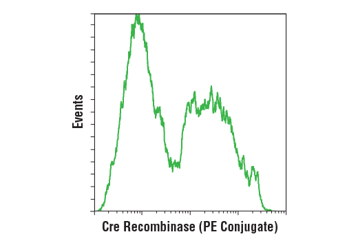 Flow Cytometry Image 1: Cre Recombinase (D7L7L) XP® Rabbit mAb (PE Conjugate)