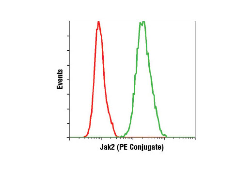 Flow Cytometry Image 1: Jak2 (D2E12) XP® Rabbit mAb (PE Conjugate)