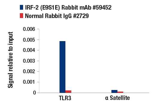 Chromatin Immunoprecipitation Image 1: IRF-2 (E9S1E) Rabbit mAb