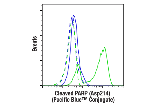 Flow Cytometry Image 1: Cleaved PARP (Asp214) (D64E10) XP® Rabbit mAb (Pacific Blue™ Conjugate)