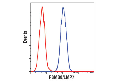 Flow Cytometry Image 1: PSMB8/LMP7 (1A5) Mouse mAb (BSA and Azide Free)