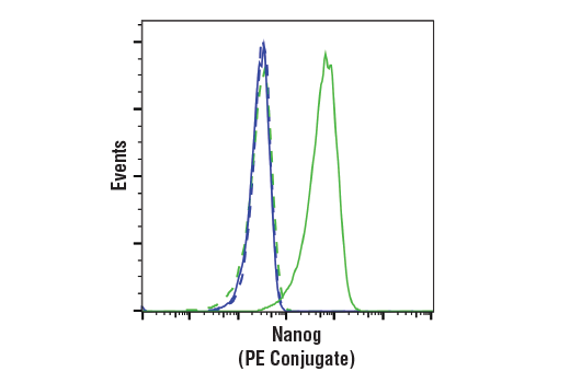 Flow Cytometry Image 1: Nanog (D2A3) XP® Rabbit mAb (PE Conjugate)