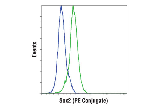 Flow Cytometry Image 1: Sox2 (D9B8N) Rabbit mAb (PE Conjugate)