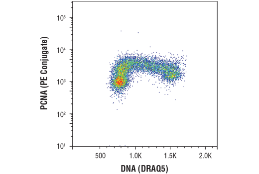 Flow Cytometry Image 1: PCNA (D3H8P) XP® Rabbit mAb (PE Conjugate)