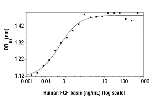  Image 1: Human FGF-basic/FGF2 (154 aa) Recombinant Protein