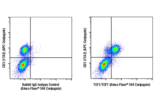Flow Cytometry Image 1: TCF1/TCF7 (E6O1K) Rabbit mAb (Alexa Fluor® 594 Conjugate)