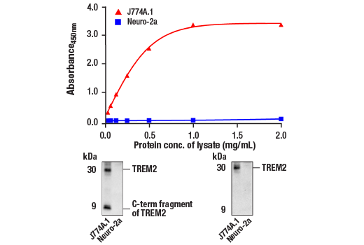  Image 1: FastScan™ TREM2 (Extracellular Amino-terminal Antigen) ELISA Kit