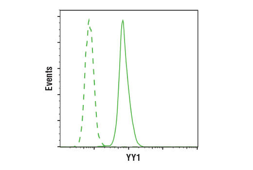Flow Cytometry Image 1: YY1 (D3D4Q) Rabbit mAb