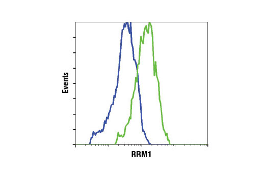 Flow Cytometry Image 1: RRM1 (D12F12) XP® Rabbit mAb (BSA and Azide Free)