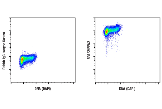 Flow Cytometry Image 1: RPA32/RPA2 (E8X5P) XP® Rabbit mAb (BSA and Azide Free)
