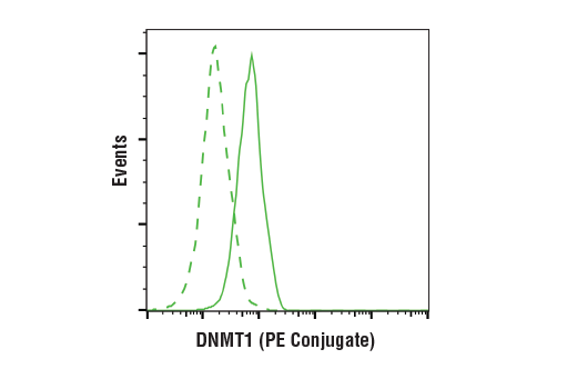 Flow Cytometry Image 1: DNMT1 (D63A6) XP® Rabbit mAb (PE Conjugate)
