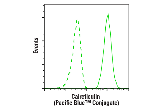 Flow Cytometry Image 1: Calreticulin (D3E6) XP® Rabbit mAb (Pacific Blue™ Conjugate)
