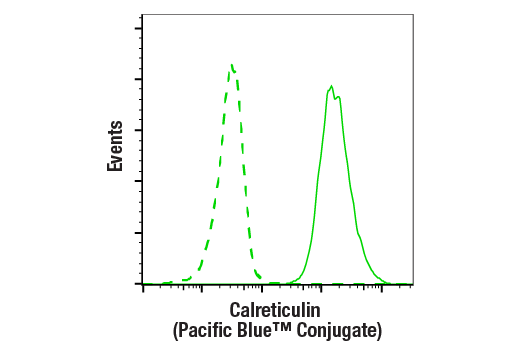 Flow Cytometry Image 2: Calreticulin (D3E6) XP® Rabbit mAb (Pacific Blue™ Conjugate)