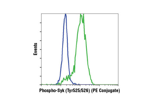 Flow Cytometry Image 1: Phospho-Syk (Tyr525/526) (C87C1) Rabbit mAb (PE Conjugate)