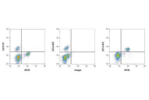  Image 71: Human T Cell Co-inhibitory and Co-stimulatory Receptor IHC Antibody Sampler Kit