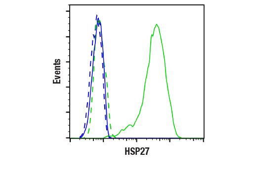 Flow Cytometry Image 1: HSP27 (D6W5V) Rabbit mAb (BSA and Azide Free)