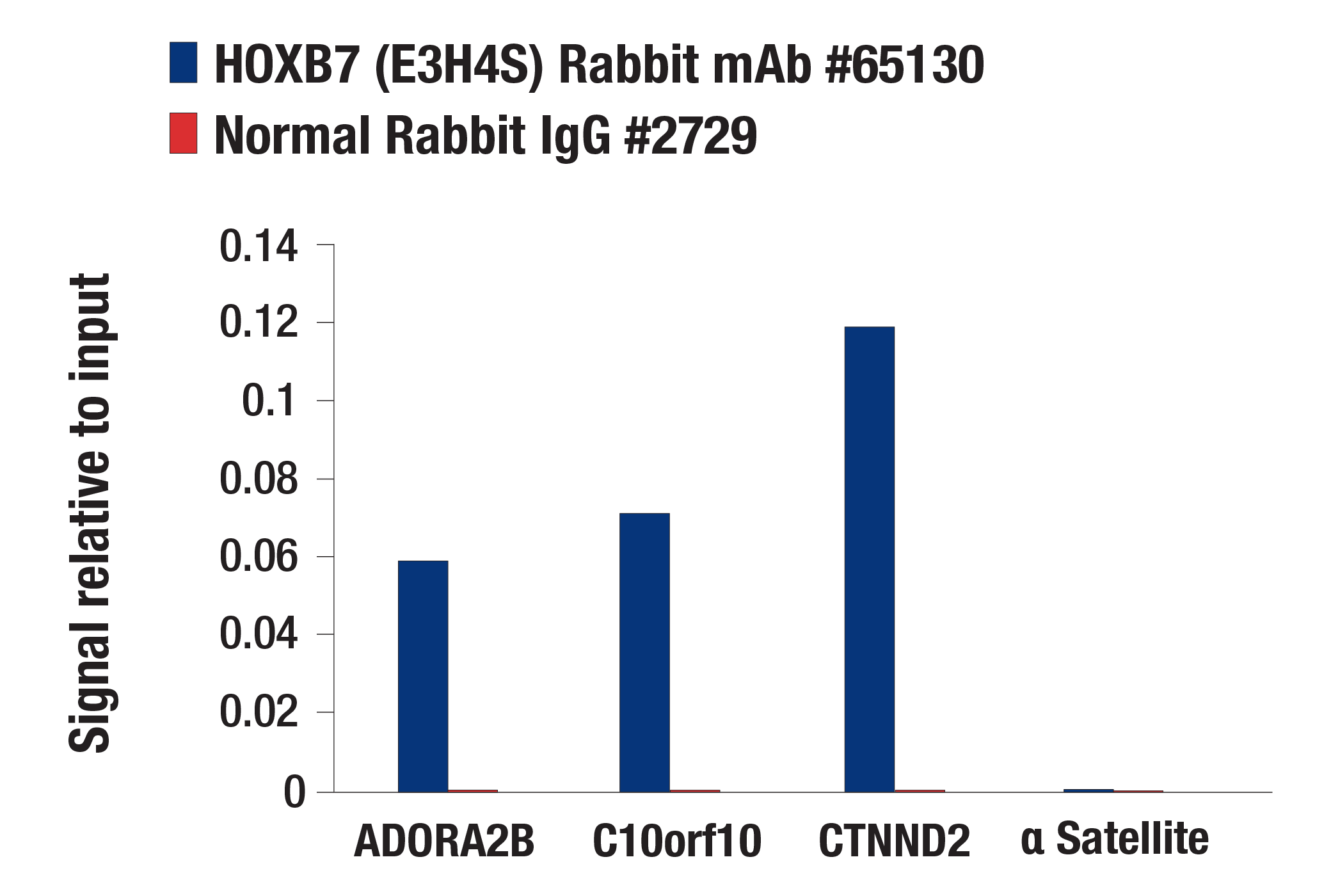 Chromatin Immunoprecipitation Image 1: HOXB7 (E3H4S) Rabbit mAb