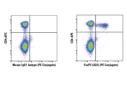 Flow Cytometry Image 1: FoxP3 (3G3) Mouse mAb (PE Conjugate)